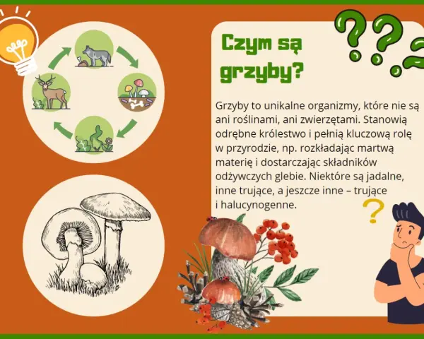 Ilustracja edukacyjna o grzybach dla przedszkola. Pokazuje cykl życia grzybów i ich znaczenie w przyrodzie.