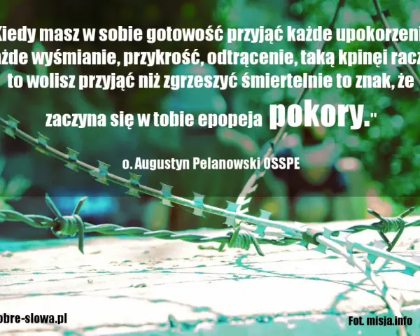 Mądre cytaty Polaków: o. Augustyn Pelanowski o pokorze. Kolczasty drut na tle zieleni.