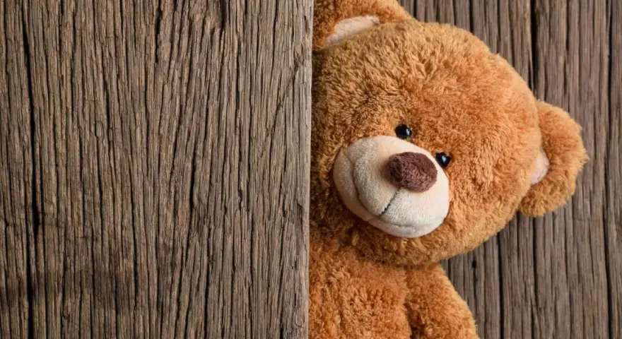 Miś wychyla się zza drewnianej deski. Dziś dzień pluszowego misia, więc pewnie czeka na przytulasy!