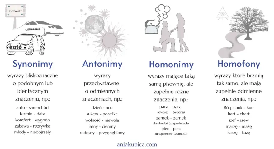 10 przykładów homonimów, antonimów, synonimów i homofonów. Obrazek przedstawia przykłady różnych typów wyrazów.