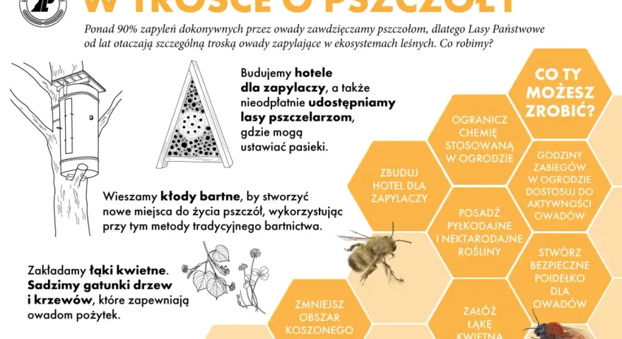 Ilustracja edukacyjna o pszczołach i innych zapylaczach. Pokazuje budowę hoteli dla owadów, kłody bartne i łąki kwietne. Wskazuje, jak pomóc pszczołom, np. sadząc rośliny miododajne.