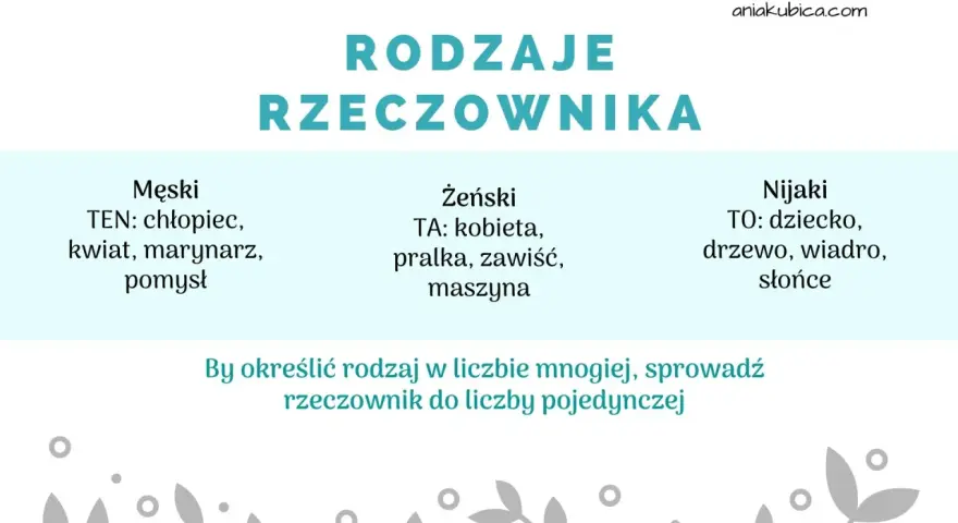 Rodzaje rzeczownika klasa 2: męski (ten), żeński (ta), nijaki (to). Przykłady: chłopiec, kobieta, dziecko.