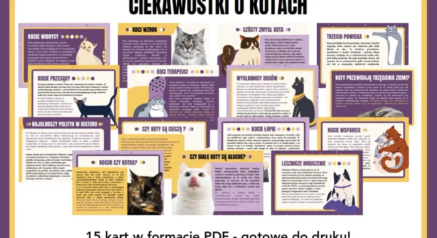 Ciekawostki o kotach dla dzieci: koty mają trzecią powiekę, a białe koty z niebieskimi oczami mogą być głuche.