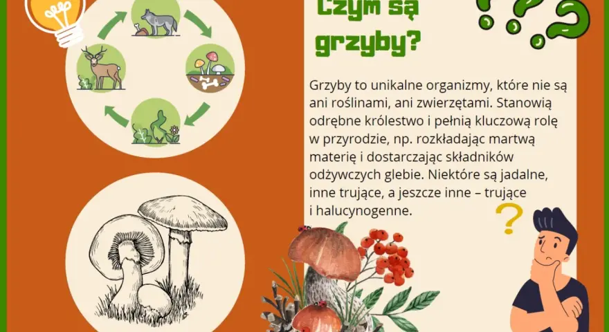 Ilustracja edukacyjna o grzybach dla przedszkola. Pokazuje cykl życia grzybów i ich znaczenie w przyrodzie.