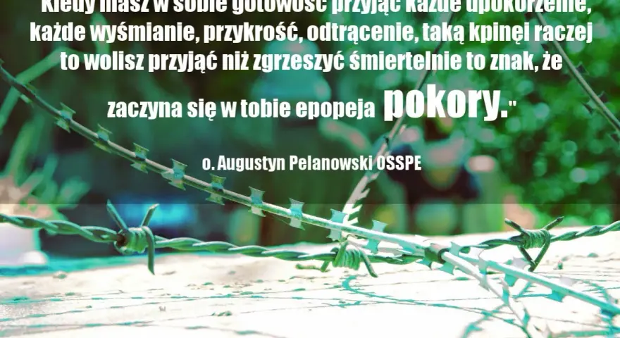 Mądre cytaty Polaków: o. Augustyn Pelanowski o pokorze. Kolczasty drut na tle zieleni.