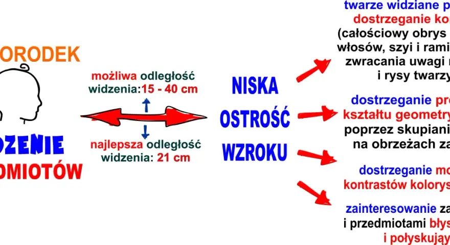Jak widzi niemowlę: niska ostrość wzroku, widzi twarze, kontury, proste kształty i mocne kontrasty. Najlepsza odległość widzenia to 21 cm.