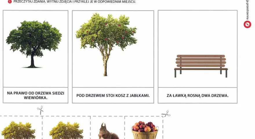 Karta pracy do nauki orientacji przestrzennej klasa 1: drzewa, ławka, kosz jabłek i wiewiórka.