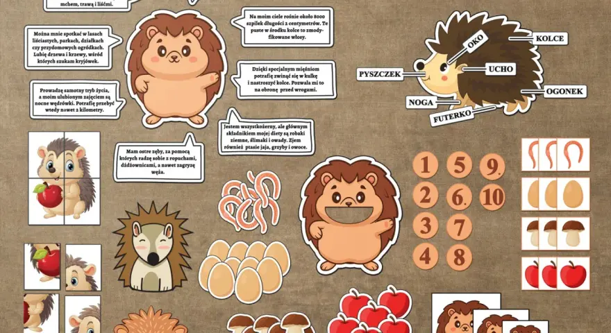 Dzień jeża pomysły: ilustracje jeży, ich budowa, dieta i zabawy edukacyjne.