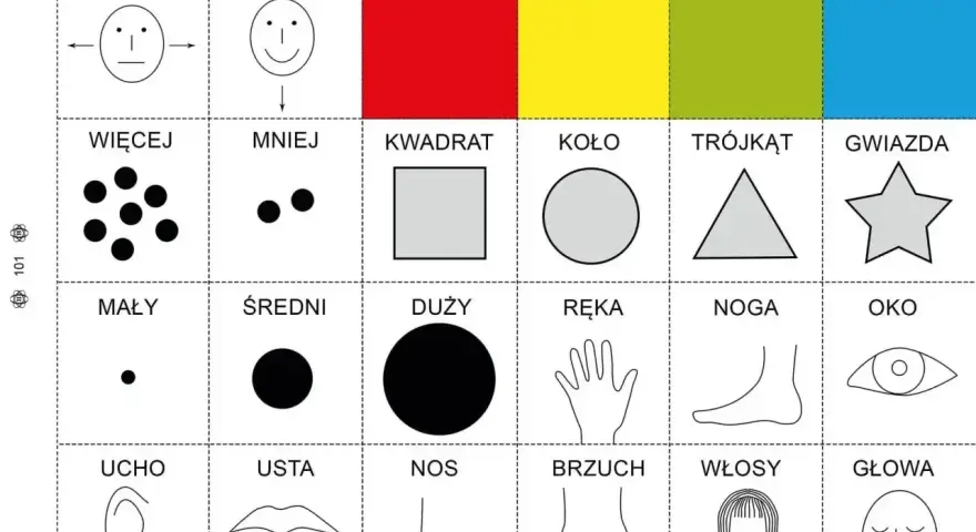 Karty pracy dla 4 latka: kolory, kształty, liczby, części ciała. Nauka przez zabawę.