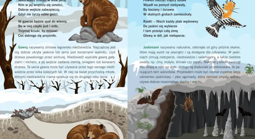 Zwierzęta i ich domy: niedźwiedź w gawrze, nietoperze i dudek w jaskini.