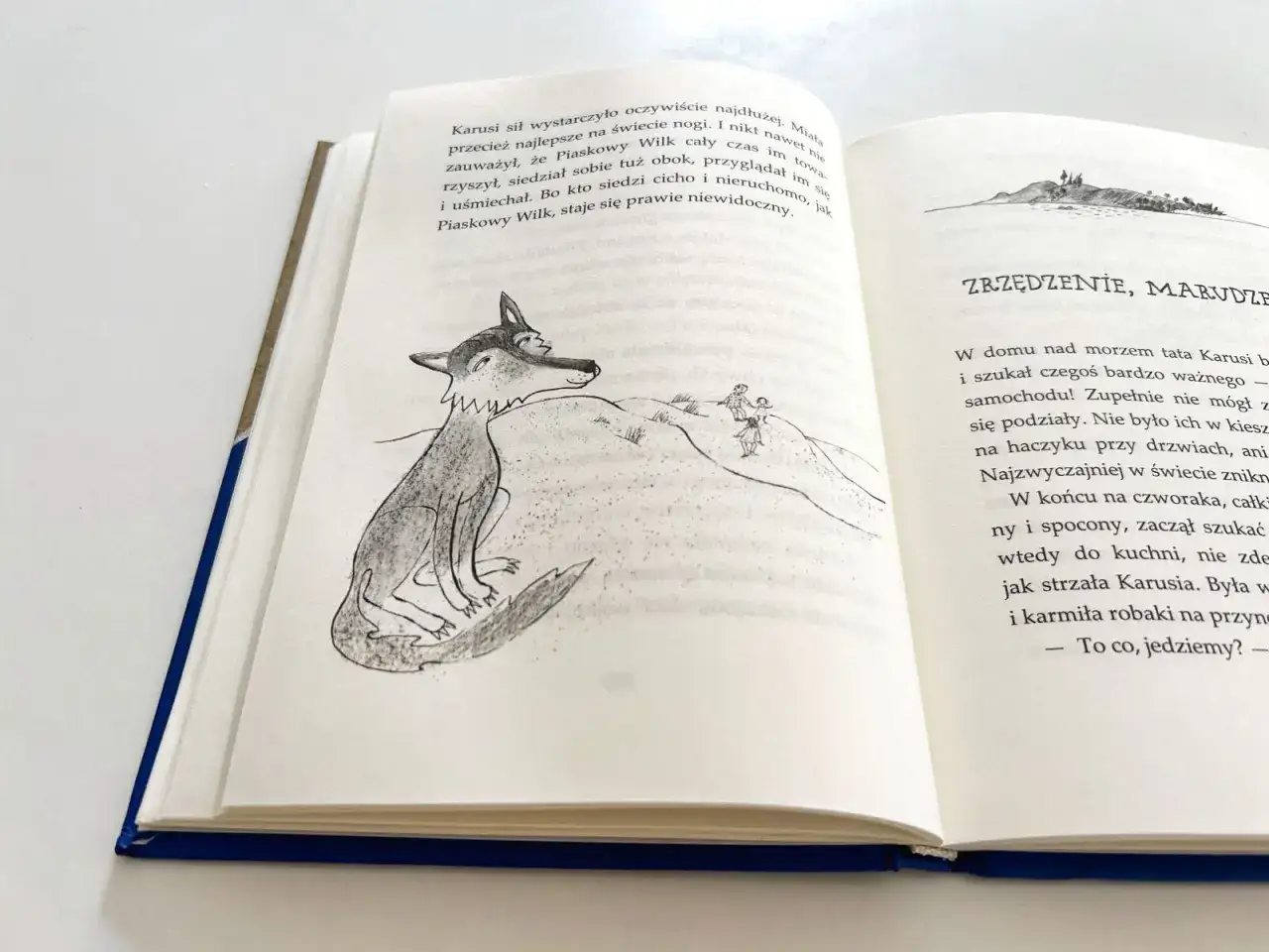 Ilustracja z książki: Piaskowy Wilk, bohater, obserwuje z pagórka dwójkę małych ludzi.