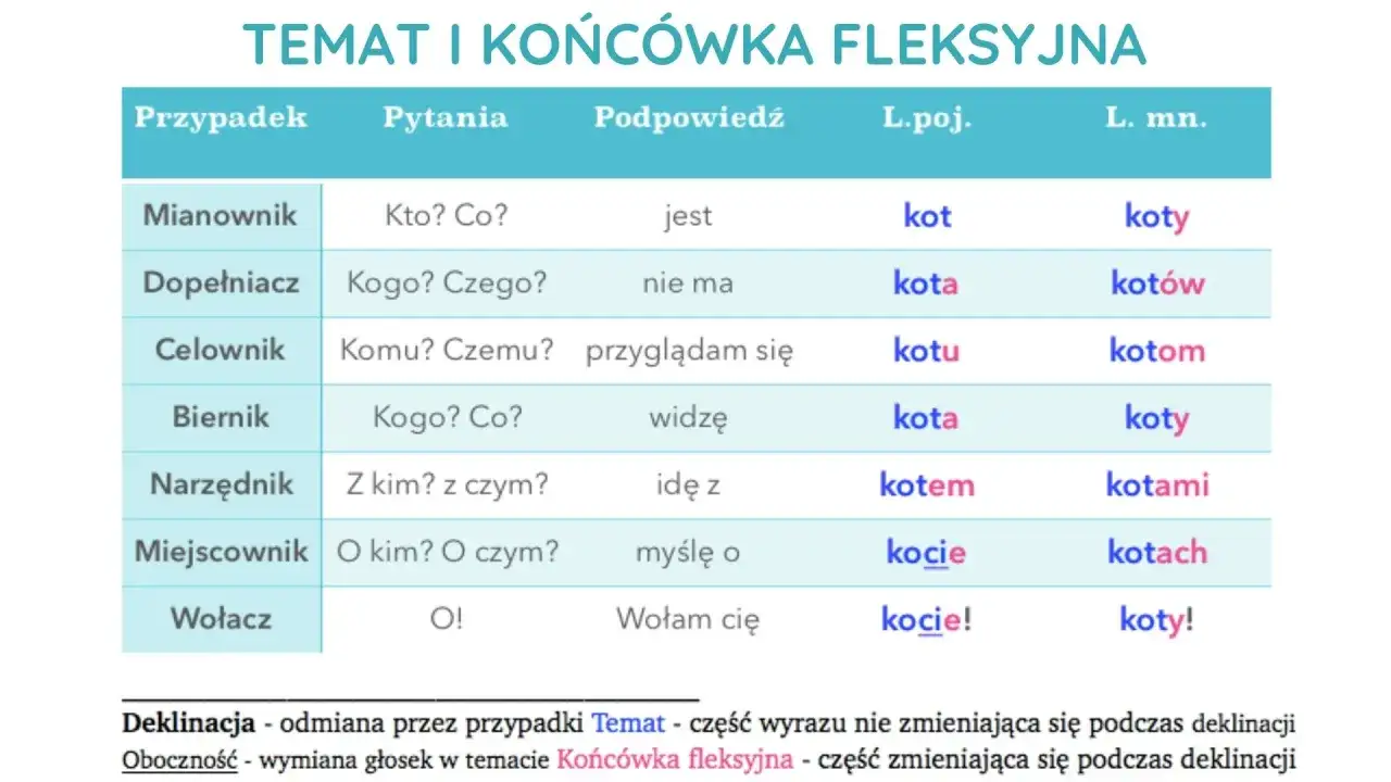 Tabela odmiany wyrazu