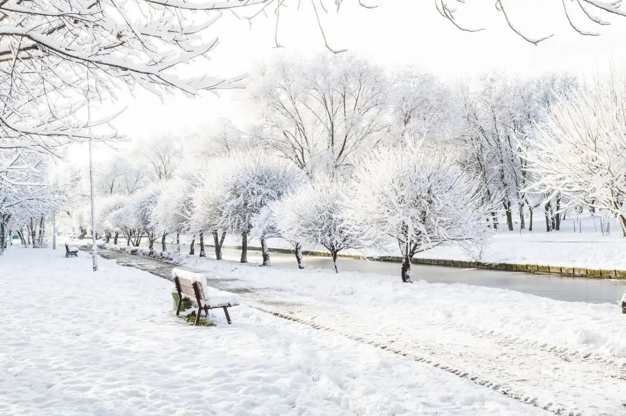 Zimowy park, śnieg na drzewach i ławkach. Idealne miejsce na spacer i rozmyślania o przysłowiach na styczeń.