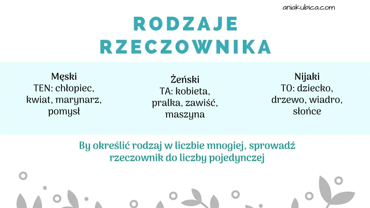 Rodzaje rzeczownika klasa 2: męski (ten), żeński (ta), nijaki (to). Przykłady: chłopiec, kobieta, dziecko.